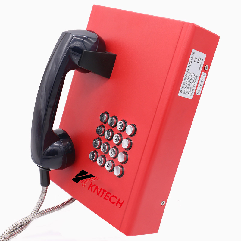 Inmate phone