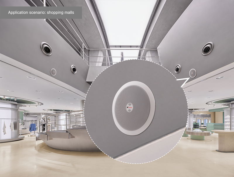 ceiling speaker application