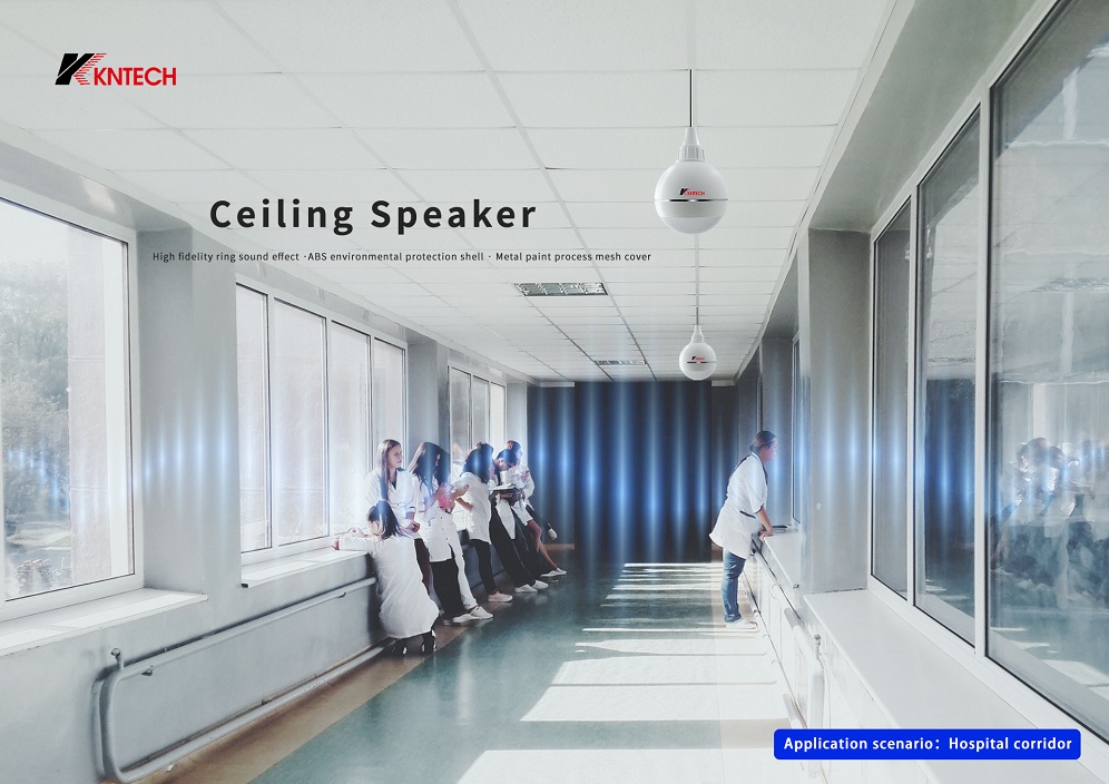 pendant ball speakers application