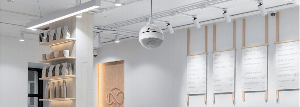 pendant ball speakers application