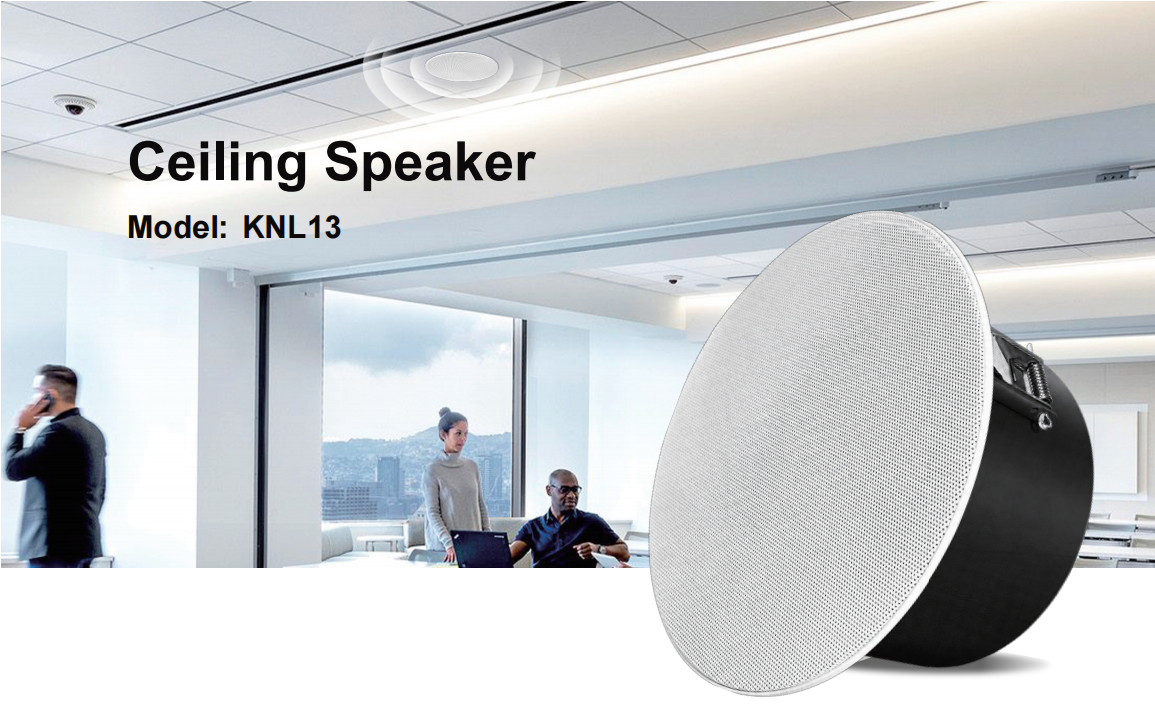 uploads/image/20260908/PA-ceiling-speakers-1.png